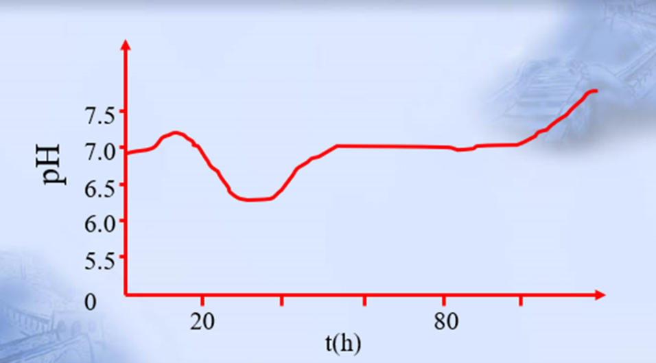 ¿·¢¡¤k8¹ú¼Ê(Öйú)Ê×Ò³µÇ¼